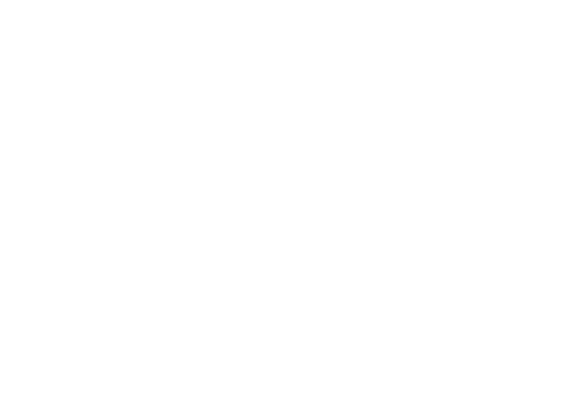 Netherland Embasy